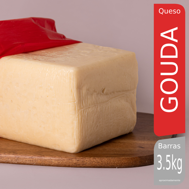 Queso Gouda